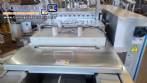 Termoformadora marca ULMA modelo TFS 200.