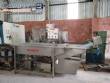 Lavadora cont�nua em inox de hortali�as verduras folhas duplo est�gio Incalfer