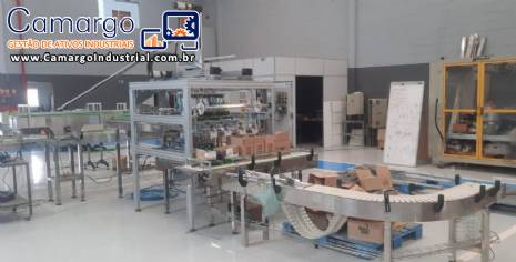 Encaixotadora  de caixas Tecway 200 pe�as / minuto