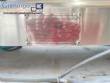 Envasadora em inox de bancada para lquidos e viscosos